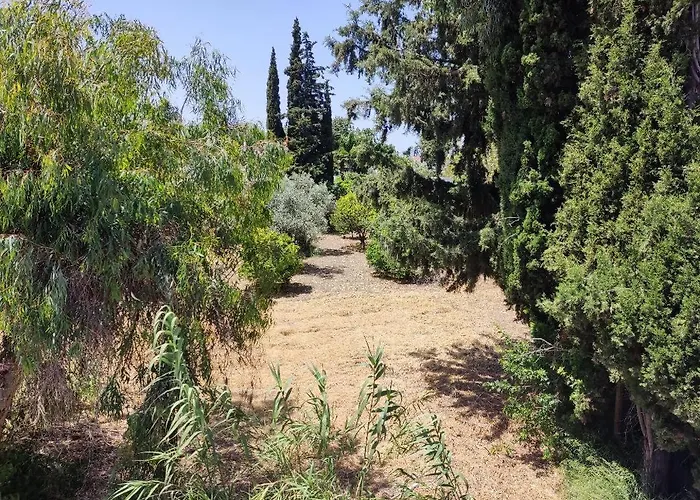 Callas Ialysos (Rhodes)