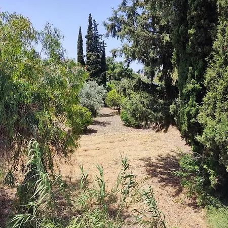 Callas Ιαλυσός Ρόδος