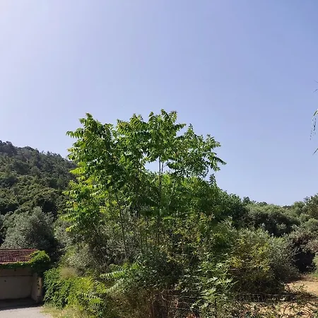 Διαμέρισμα Callas